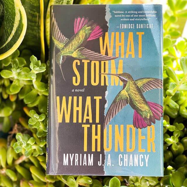 What Storm, What Thunder by Myriam JA Chancy